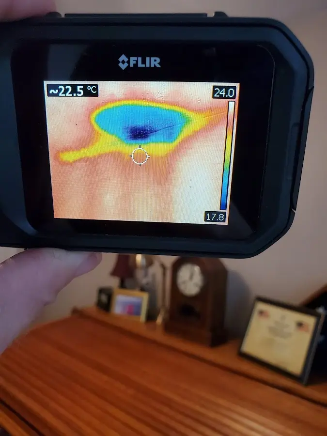 Thermal imaging inspection for water damage in Vallejo